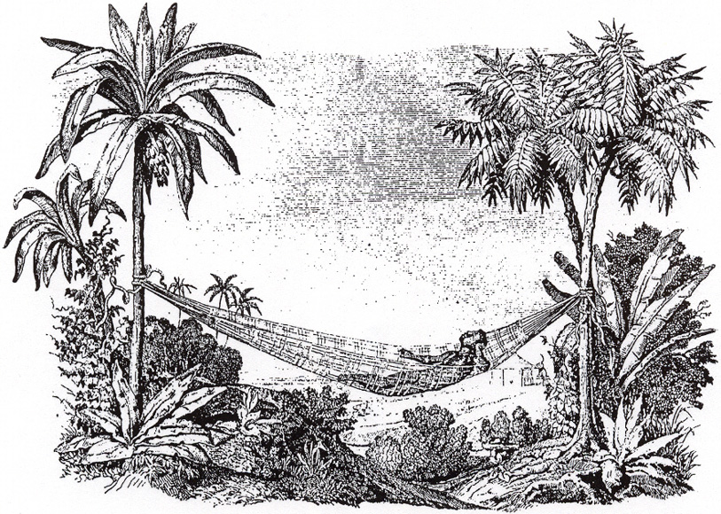 taino-hammock.jpg